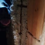 Foto: 1 de 1 cachorro-salvo-em-mg - Foto: Divulgação/PMMG