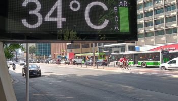 calorsp202411