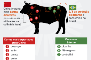 carne-bovina-china-4-go-2026-scaled-1