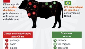 carne-bovina-china-4-go-2026-scaled-1