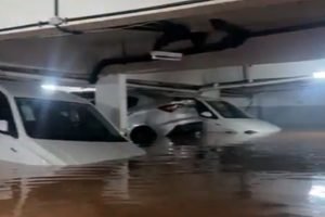 Foto: 1 de 1 Carros boiando em garagem de Juiz de Fora - Foto: Reprodução/Redes