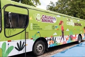 Homem é preso por tentativa de feminicídio após agredir esposa com marreta em Água Preta O suspeito passou por audiência de custódia e permanece preso. Um homem de 45 anos foi preso em flagrante por agredir a esposa com golpes de marreta na cabeça NA - 1