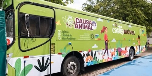 Homem é preso por tentativa de feminicídio após agredir esposa com marreta em Água Preta O suspeito passou por audiência de custódia e permanece preso. Um homem de 45 anos foi preso em flagrante por agredir a esposa com golpes de marreta na cabeça NA - 1