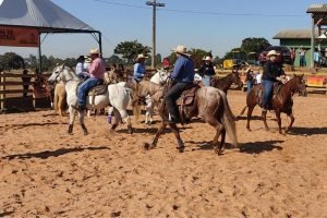 cavalo-1