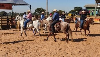 cavalo-1