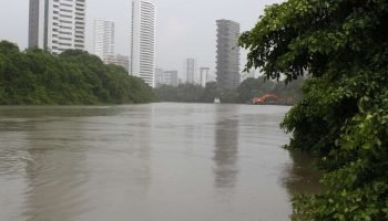 cc130913001-17437584