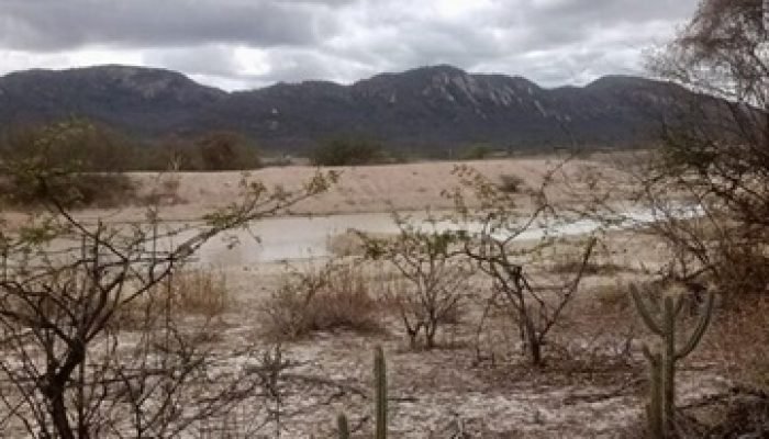 ce06627f-fb05-4cc2-86aa-770e0c4ecd7d-640x330