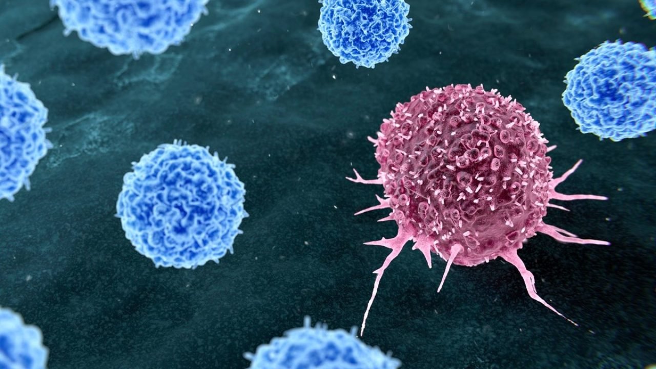 celulas-cancerigenas-1