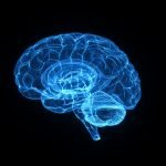 cerebro-8