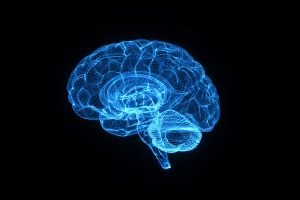 cerebro-8