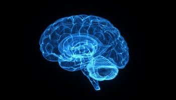 cerebro-8