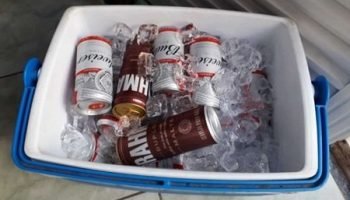 cooler