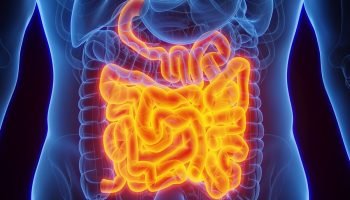 d8f1449e-intestino_2