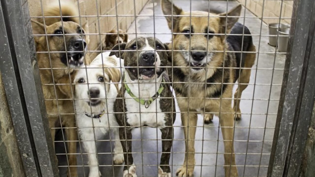 depositphotos-116934834-xl-768x517