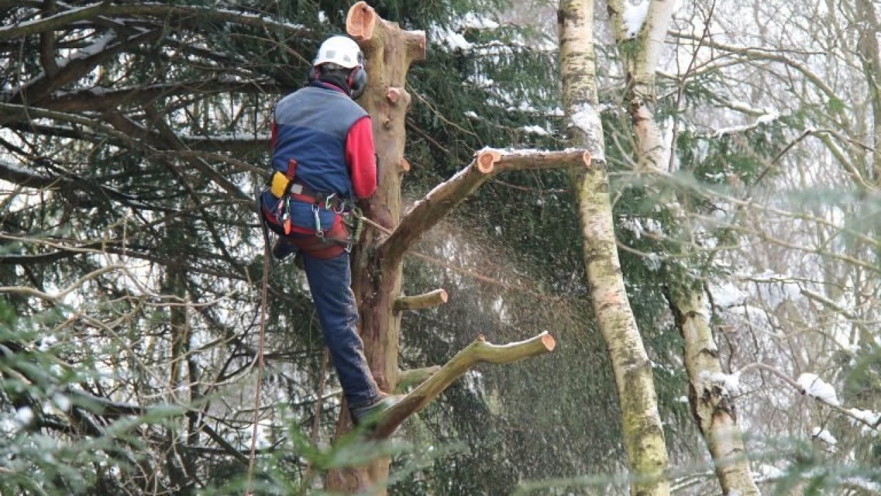 depositphotos-26071195-xl-768x512