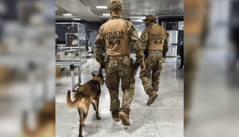 Foto: 1 de 1 Imagem colorida de agentes da Polícia Federal em fiscalização contr