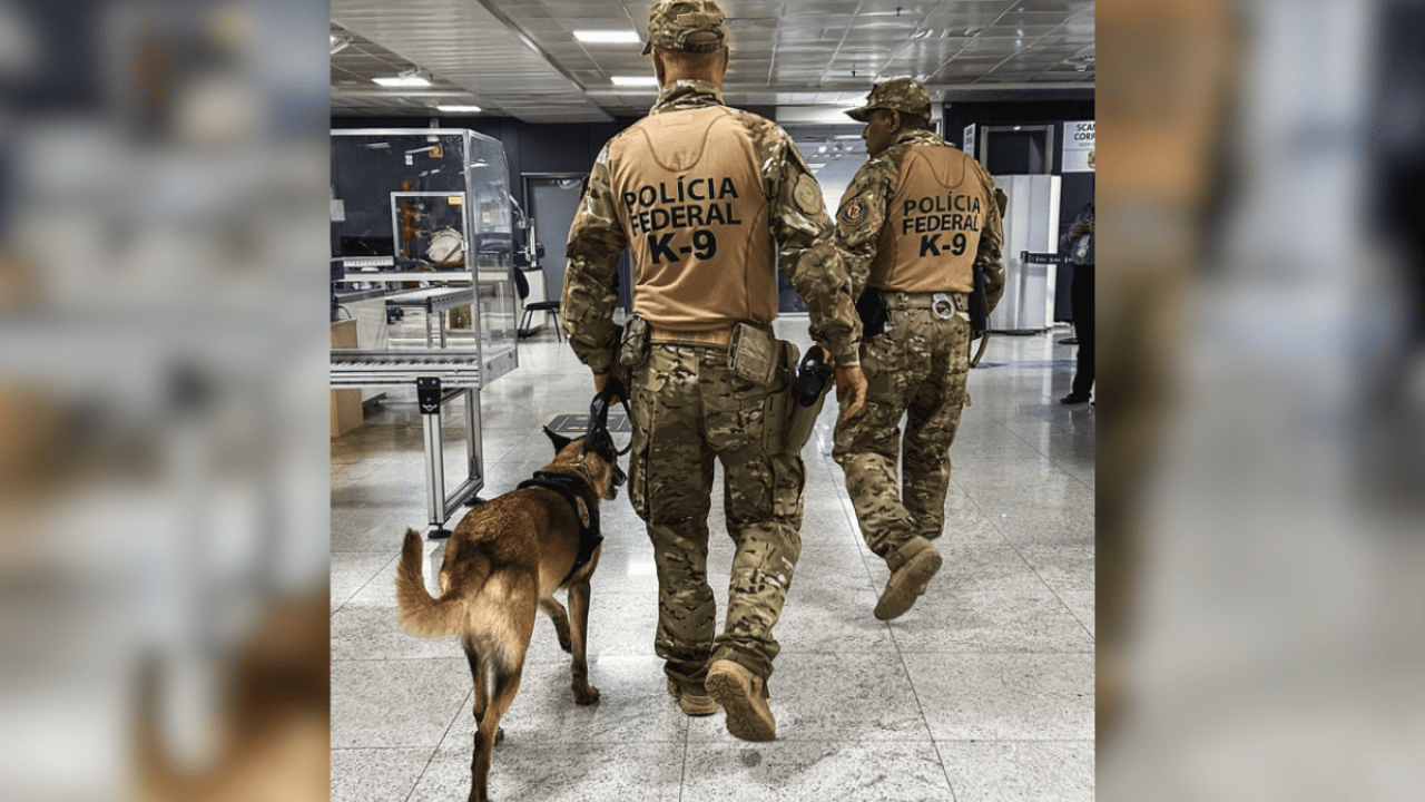 Foto: 1 de 1 Imagem colorida de agentes da Polícia Federal em fiscalização contr