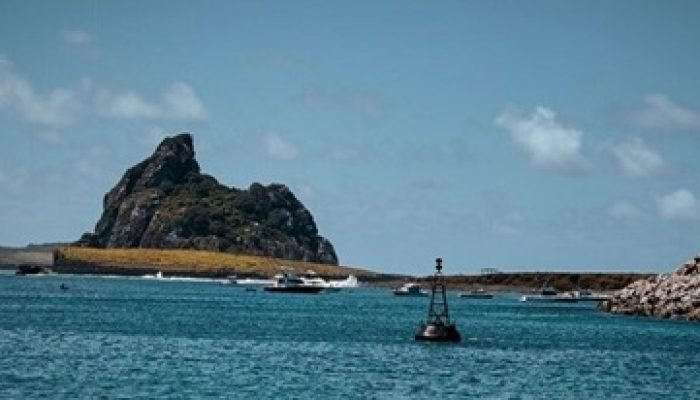 e1157a70-7190-410e-93a2-39ff70551ad9-640x330