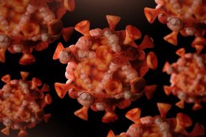 Foto: 1 de 1 Imagem colorida mostra vírus mpox - Metrópoles - Foto: Uma Shankar