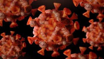 Foto: 1 de 1 Imagem colorida mostra vírus mpox - Metrópoles - Foto: Uma Shankar