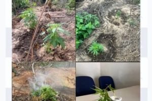 e85faf35-fed2-4567-834c-fe793db2a3d3-360x330