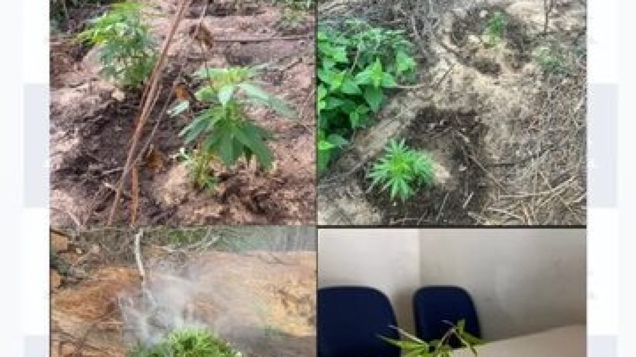 e85faf35-fed2-4567-834c-fe793db2a3d3-360x330