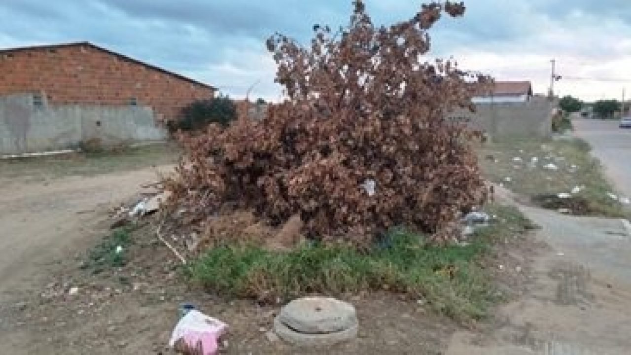 e8b74305-4f8c-43ad-b544-9c8e3490ca5c-640x330-1