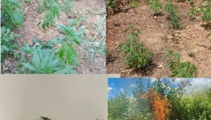 eeff8585-0fbf-402b-ac93-b9b22c613203-360x330