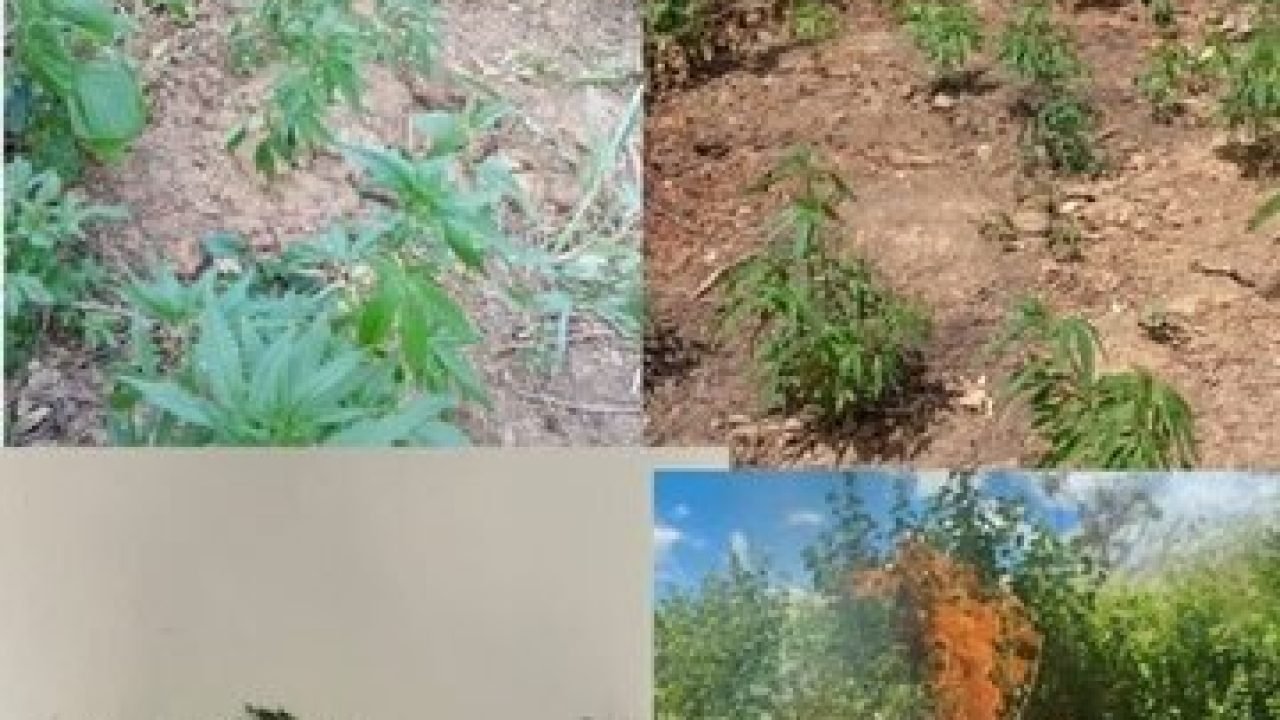 eeff8585-0fbf-402b-ac93-b9b22c613203-360x330-1