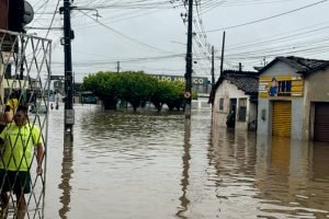 Foto: Senado Notícias