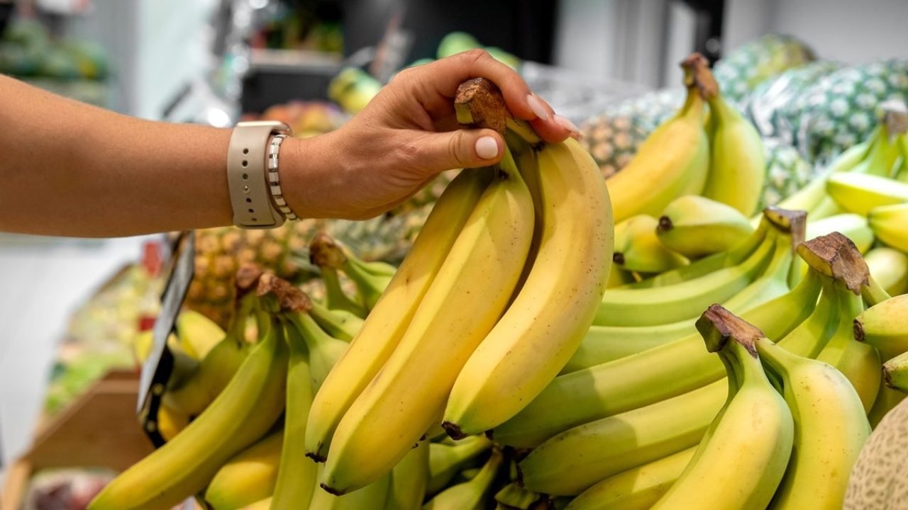 f8b1b5e9-gettyimages-2157450269