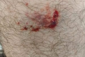 fa031b92-0854-447f-9d87-28122c95ae41-482x330