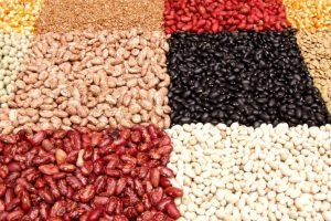 Foto: Segundo a Companhia Nacional de Abastecimento, o feijão segue como a princ