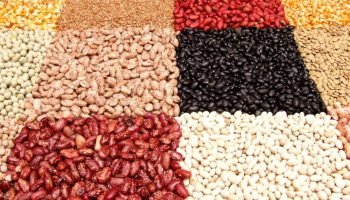 Foto: Segundo a Companhia Nacional de Abastecimento, o feijão segue como a princ