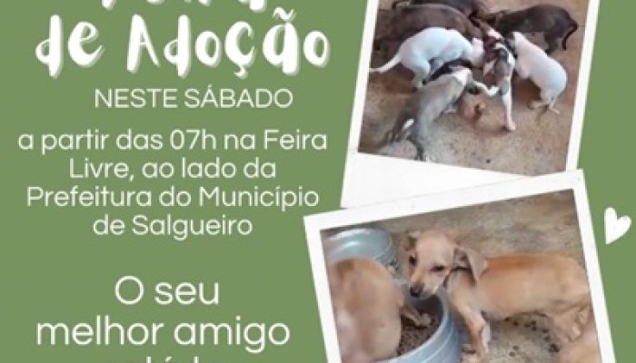 feiraAdocao