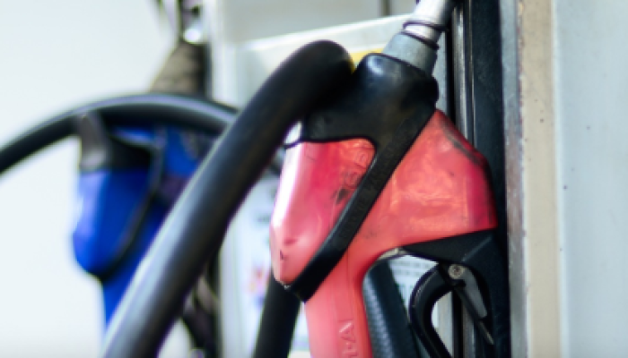 gasolina