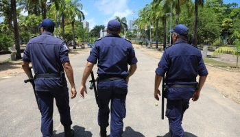 gm031123006-24914924