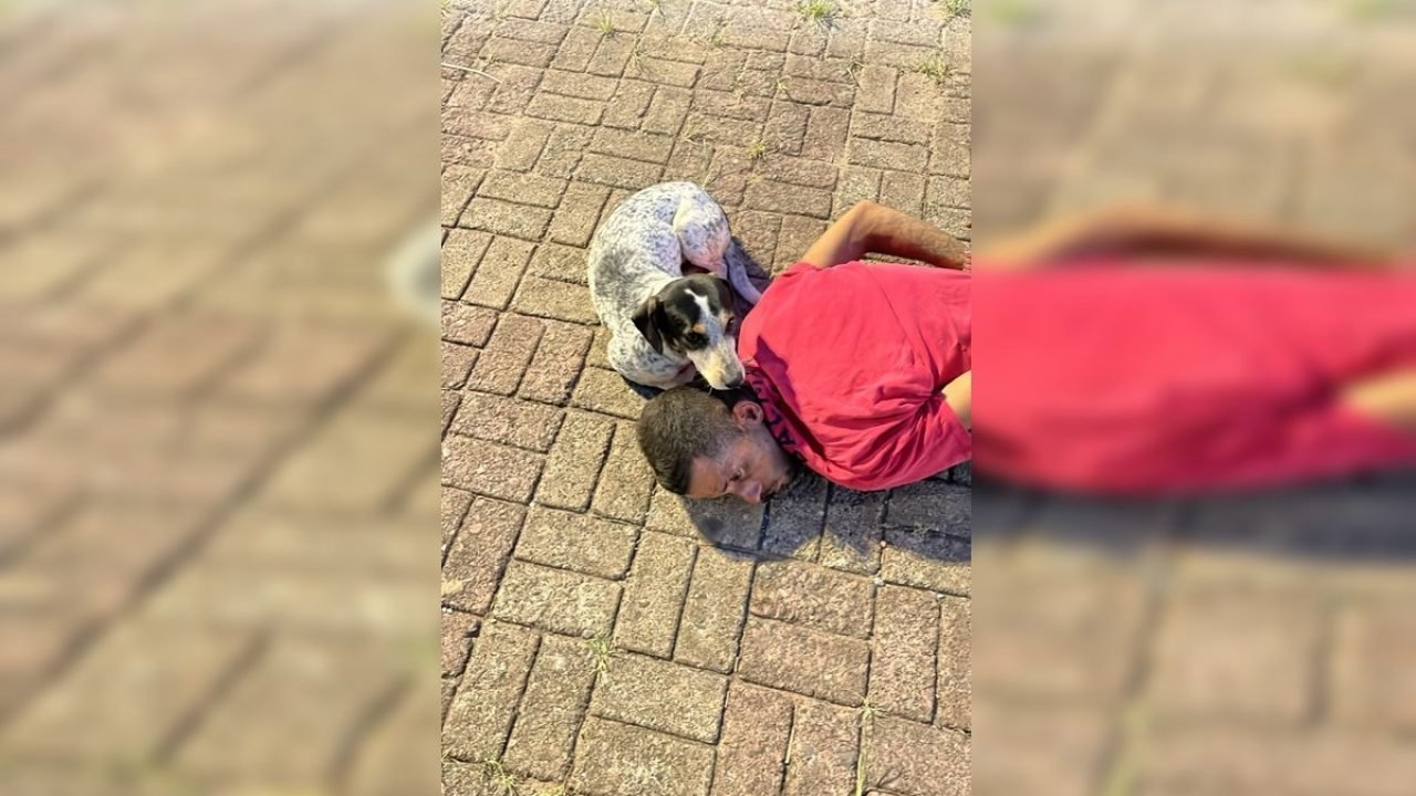 homem-preso-furtos-guara