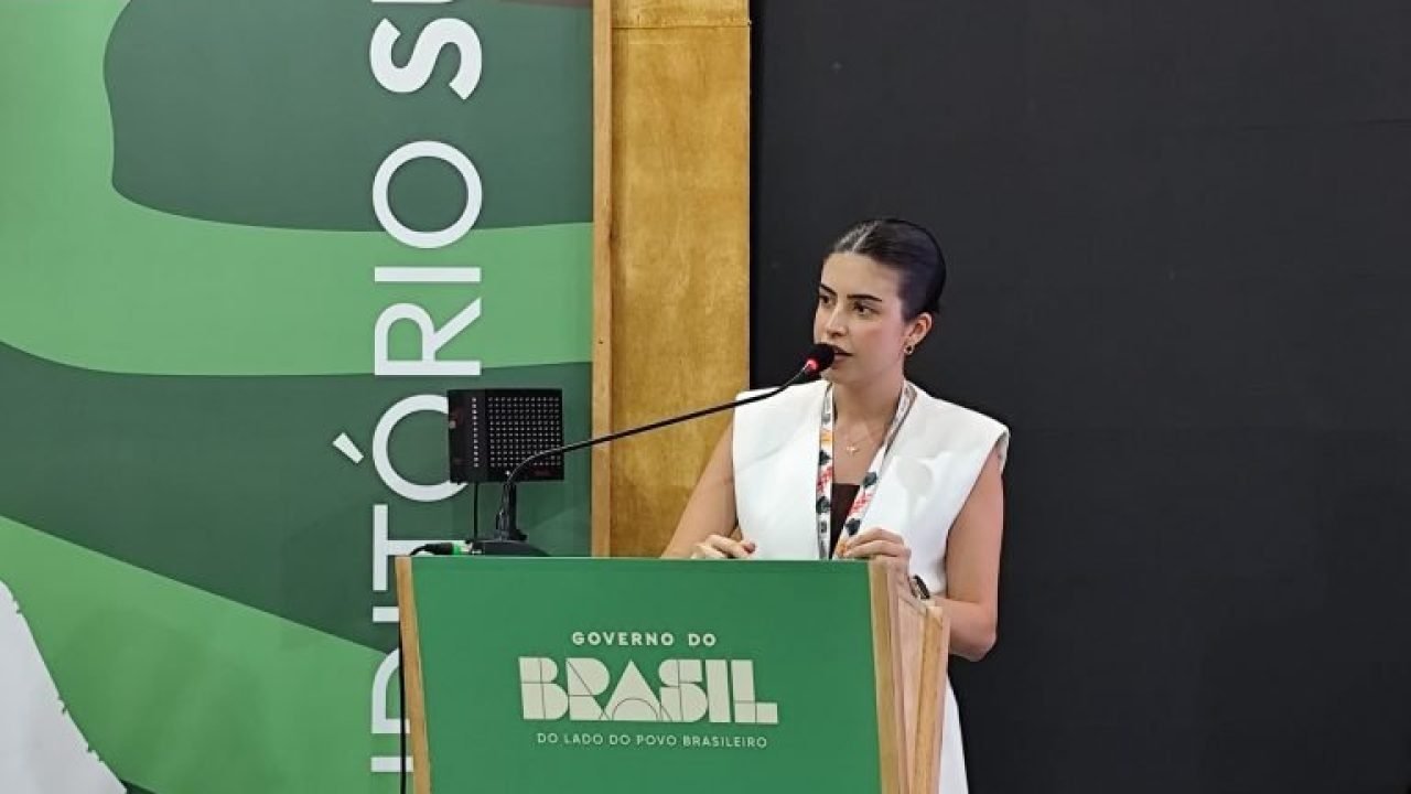 img-20251112-120014-768×576 img-20251112-120014-768x576