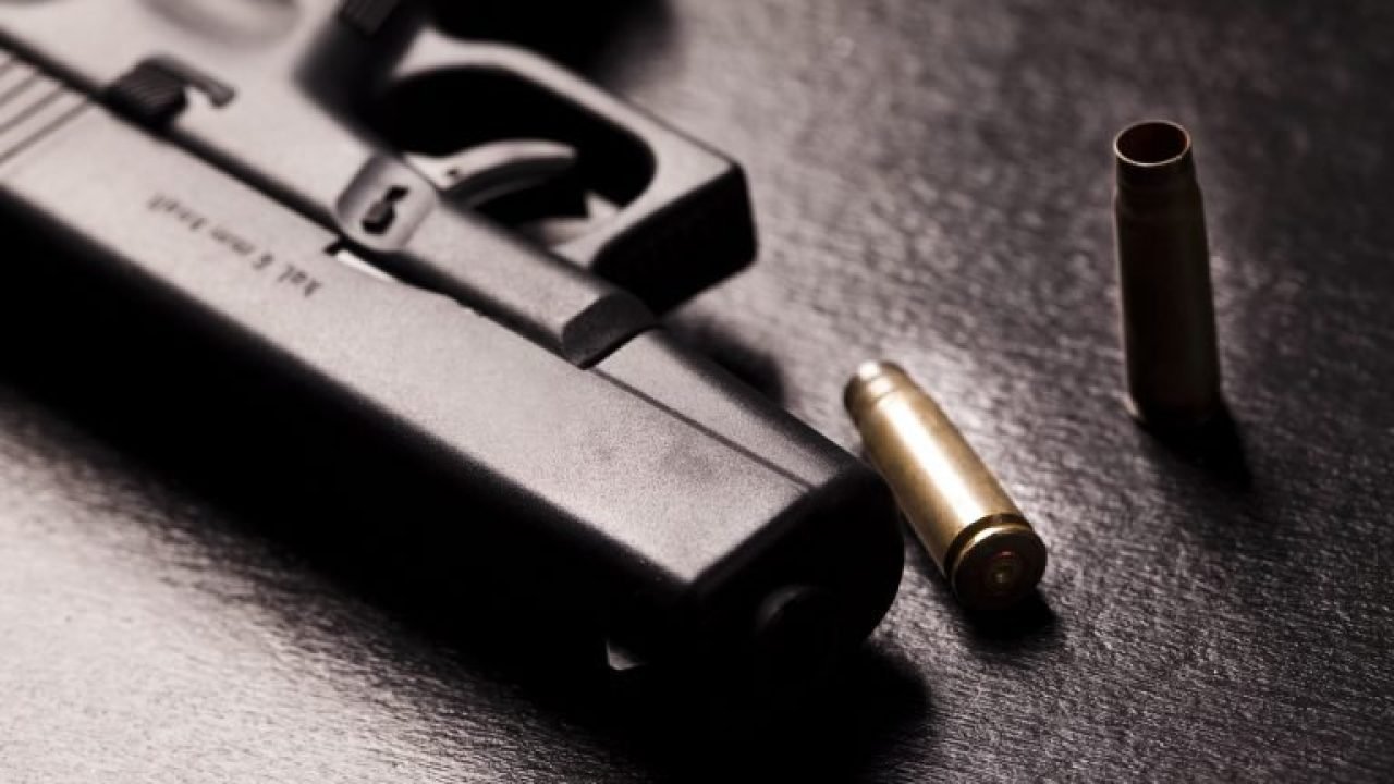 img20190624113254893-768x512