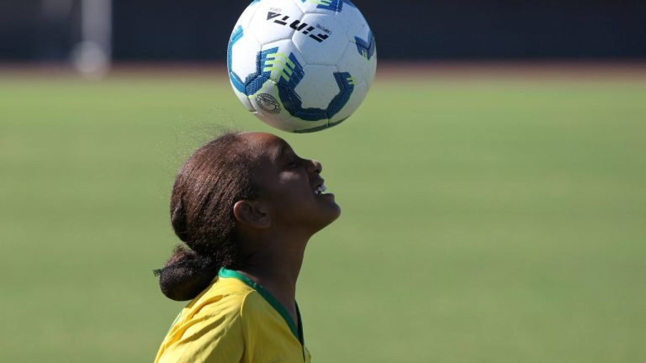 img20191111130741269-768x512