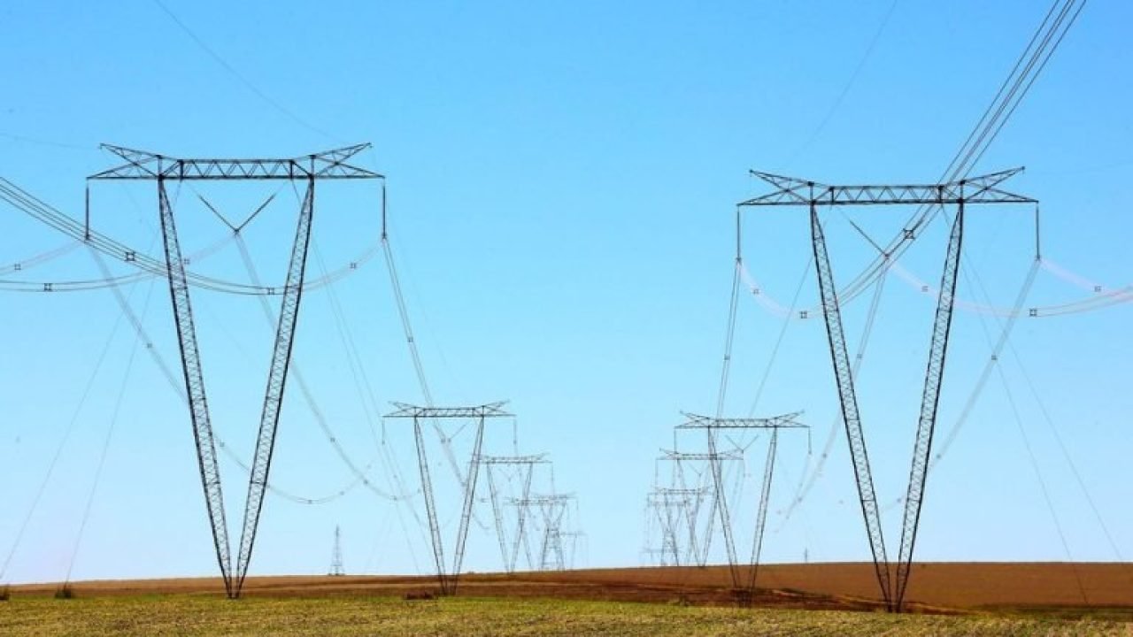 img20200819160036092-768x512