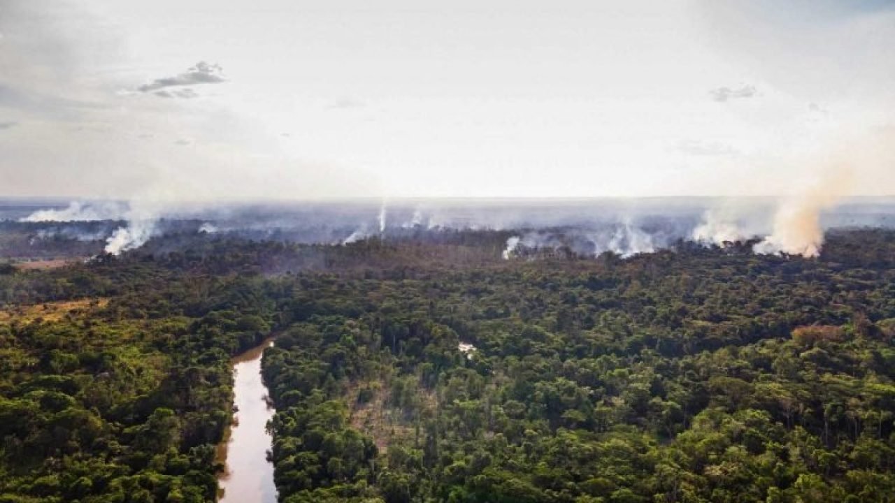 img20210422120949638-1-768x576