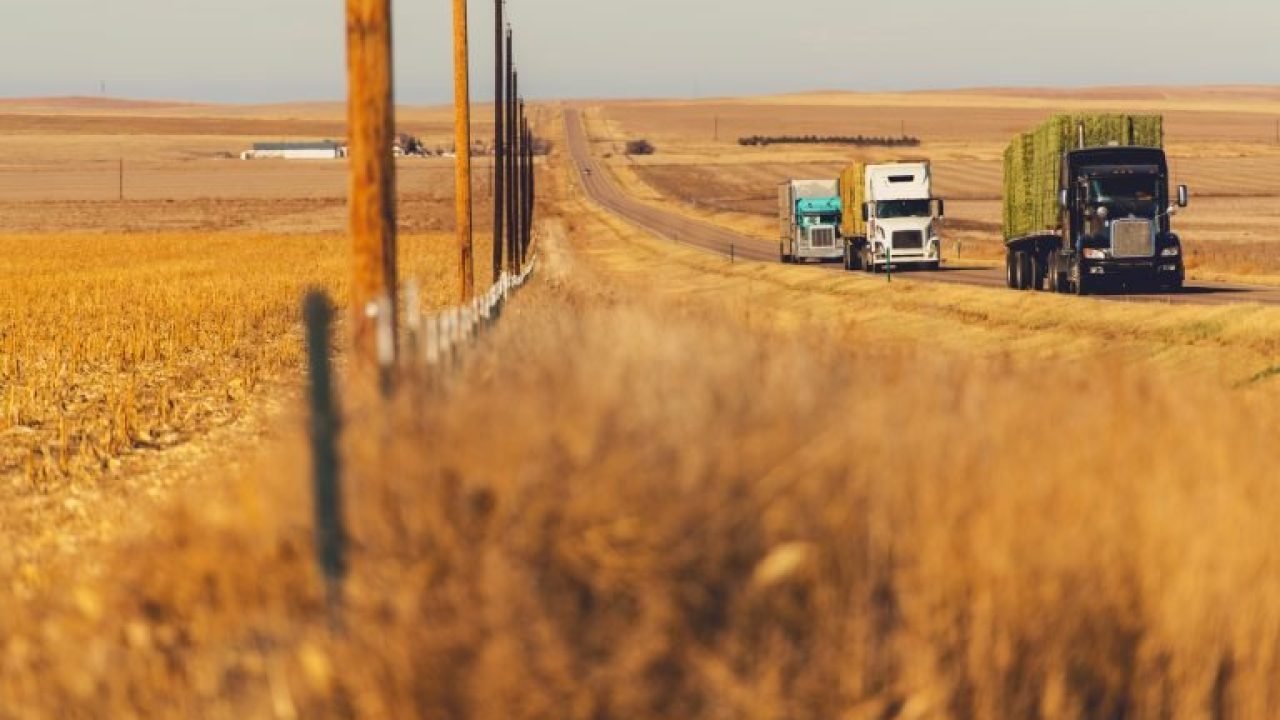 img20221026093214895-768x512