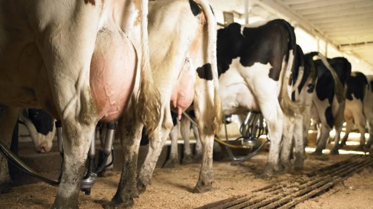 img20221026095753208-768x576