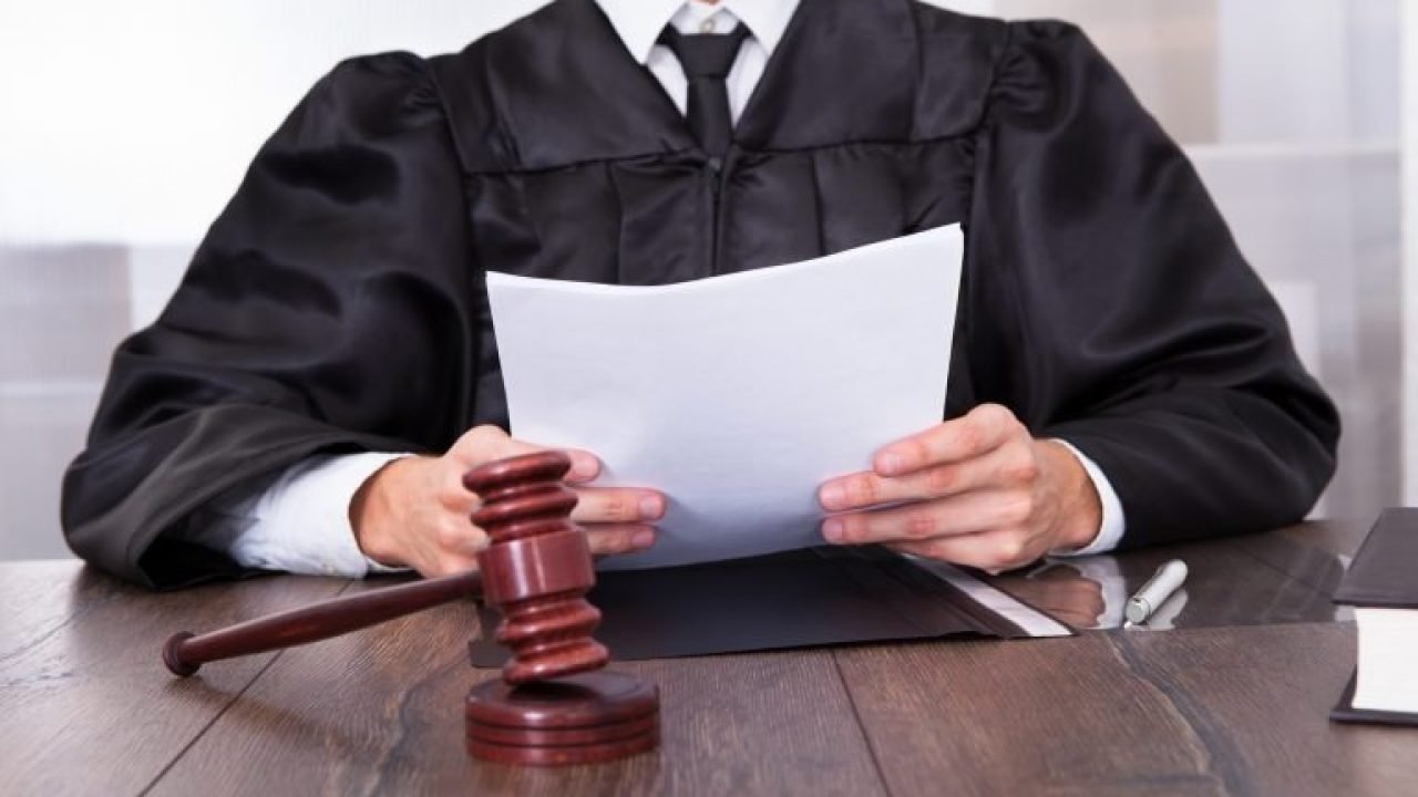 img20230124113750353-768x512