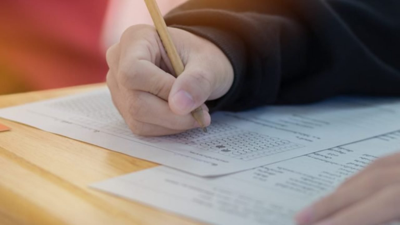 img20240605125933763-768x512