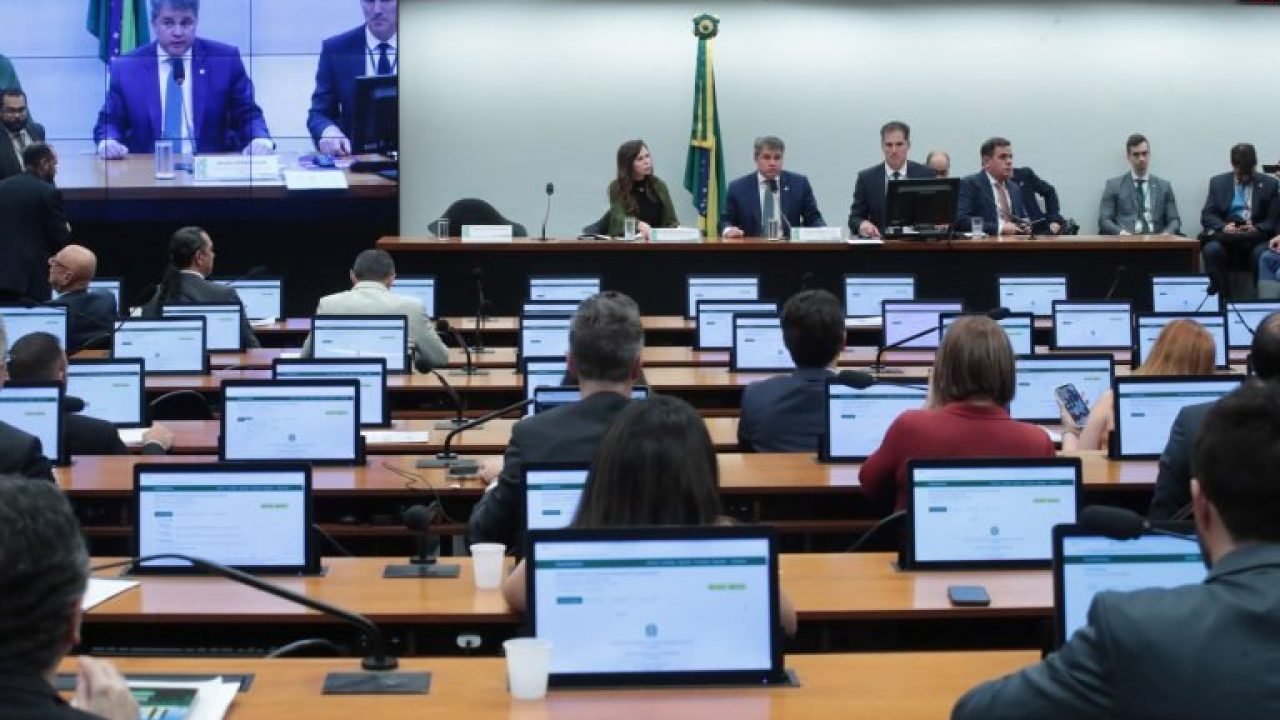 img20251203171213329-2-768x473