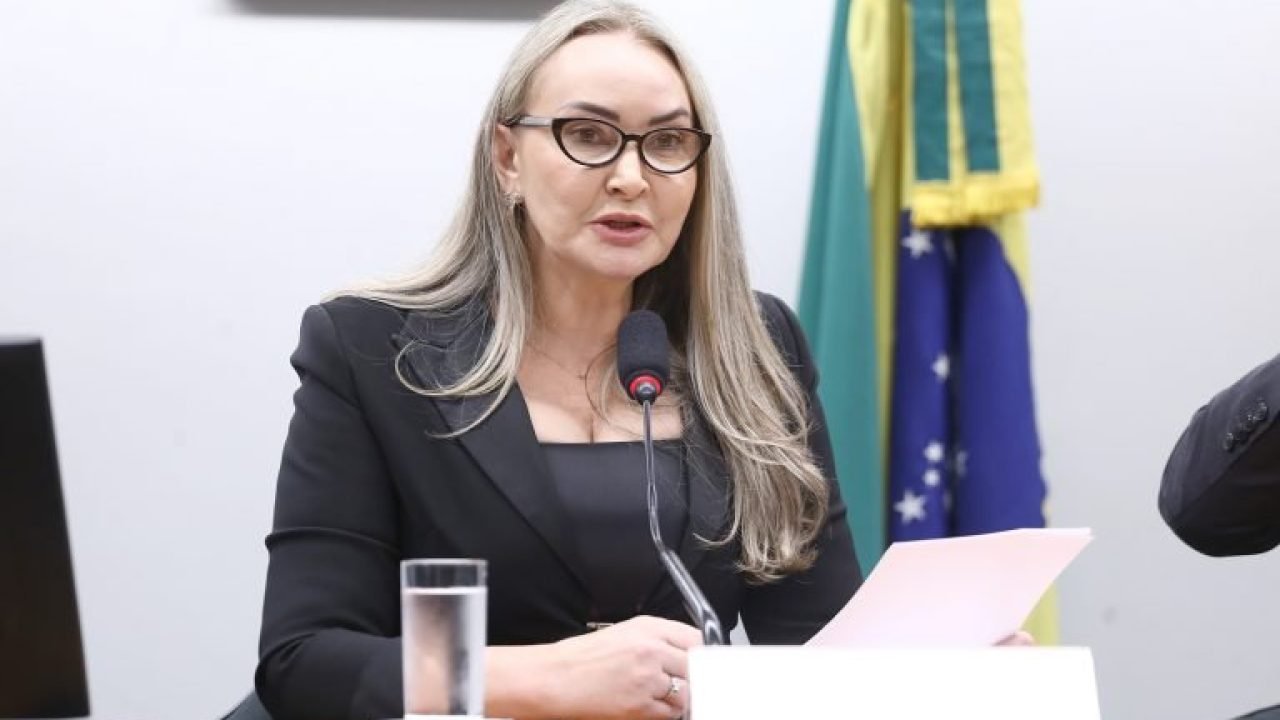 img20260204112241529-768x473