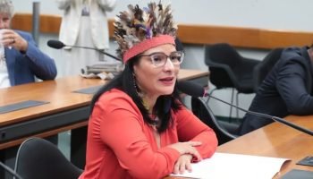 img20260204180102351-768x473